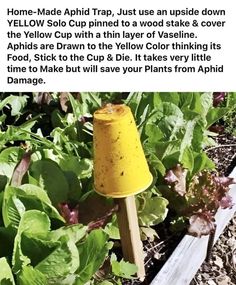 a yellow lamp sitting in the middle of a garden