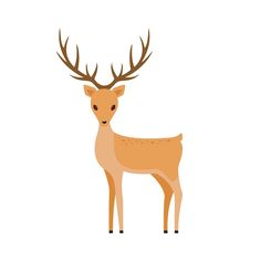 a deer with antlers on its head standing in front of a white background,