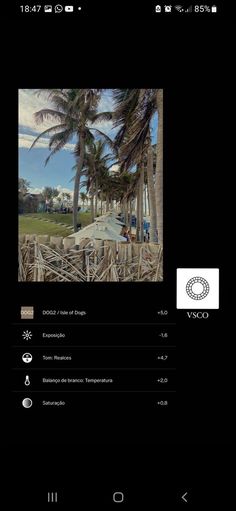 an image of a palm tree lined beach with the words vccco on it