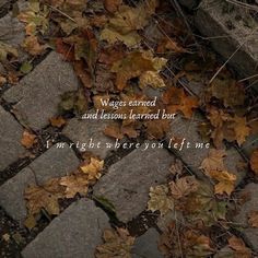 a brick walkway covered in leaves with a poem written on it