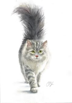 a drawing of a cat with long hair on it's head and tail walking