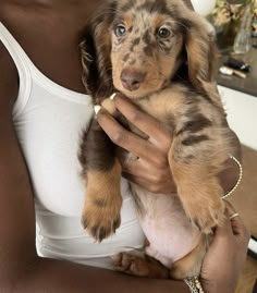 a woman holding a puppy in her arms