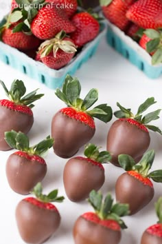 chocolate covered strawberries are arranged next to each other