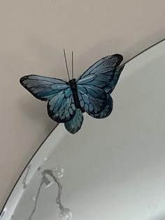 a blue butterfly sitting on top of a mirror