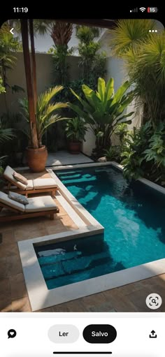 the pool is surrounded by tropical trees and plants