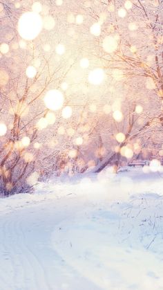 the sun shines brightly through snow covered trees