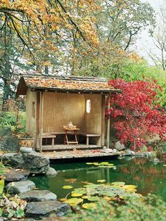 an outhouse in the middle of a pond surrounded by trees and water lilies