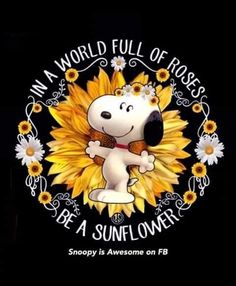 snoopy is awesome on fb in a world full of roses be a sunflower