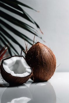 two coconuts on a white surface with palm leaves