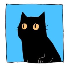 a black cat sitting in front of a blue background