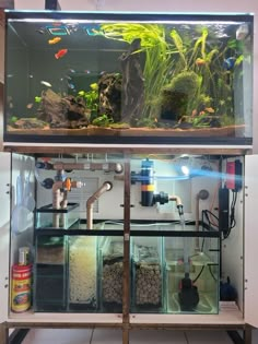 an aquarium filled with lots of different types of fish