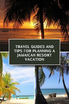 travel guides and tips for planning a jamaican resort vacation cover image with palm trees