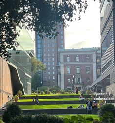 people are sitting on the grass in front of some tall buildings and green bushes with trees