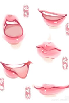 the lips have different shapes and colors