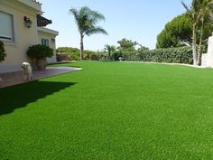 an artificial lawn in front of a house with a white dog standing on the grass