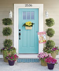 a blue front door with potted flowers on it