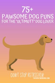 a brown dog with the words 75 + pawsomee dogs for the ultimate pet lover