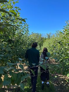 two people standing in the middle of an apple orchard