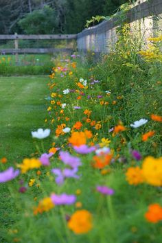 colorful flowers line the side of a fenced in area with green grass and trees