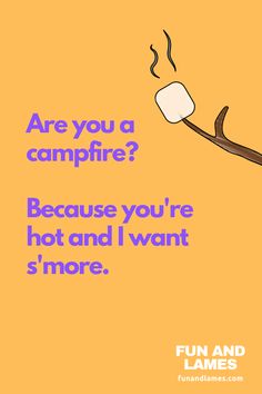 a poster with the words are you a campfire? because you're hot and i want s more