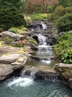 a small waterfall in the middle of a garden