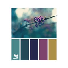 an instagram page with purple flowers and green leaves