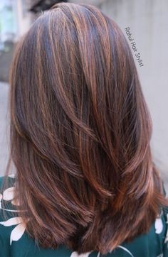 Top Hair Color Trends 2020, Hairstyles 2023 Trends Medium Brunette, Medium Brunette Fall Hair 2022, Fall Hair Colors To Do At Home, Autumn 23 Hair, Chestnut Color Hair With Highlights, Hair Color Ideas For Brunettes With Thinning Hair, Multidimensional Hair Color Brunettes, Fall Women Hair Color