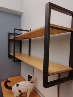 a black and white cat standing on top of a wooden table next to a shelf