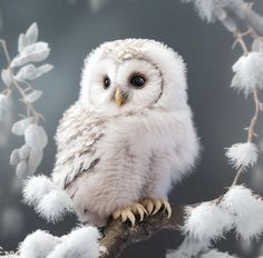 a white owl sitting on top of a tree branch with snow all over it's branches