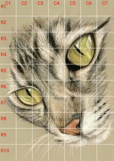 a close up of a cat's face on a gridded background with numbers