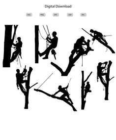 the silhouettes of people climbing up and down trees