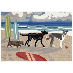 three dogs on the beach with surfboards and clouds in the background, one is black