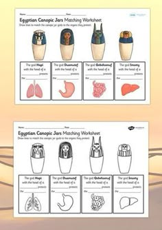 an image of different types of medical devices and their functions in the body, including breathing apparatuss