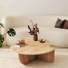 a living room with a couch, table and potted plant on the coffee table