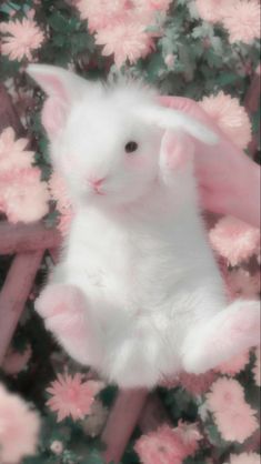 a white bunny rabbit sitting in front of pink flowers