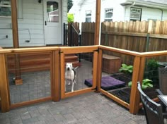 a dog is looking through the screen door