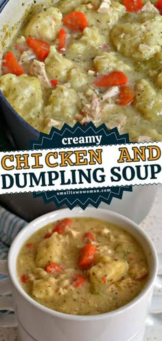 creamy chicken and dumpling soup in a white bowl