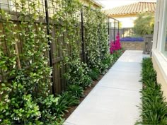 an outdoor walkway between two buildings with plants growing on the fence and in front of it