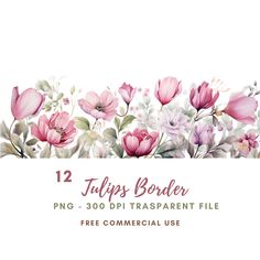 flowers with text that reads 12 tulips border png - 300 dpi transparent file