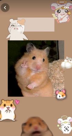 the hamster is sitting in front of several different pictures