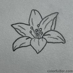 a drawing of a flower with leaves on it