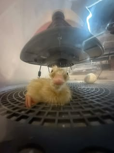 a small yellow duck sitting on top of a metal grate under a light fixture