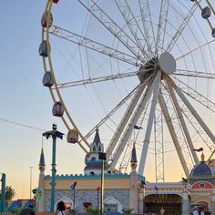 a ferris wheel in an amusement park during the day