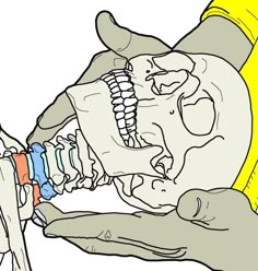 Coracobrachialis - Massage Notes - Integrative Works Trigger Points Neck, Neuromuscular Therapy, Therapy Notes, Neck Ache, Biceps Brachii, Forward Head Posture, Craniosacral Therapy, Latissimus Dorsi