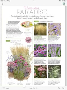 the page is full of different types of flowers and plants that are growing in it