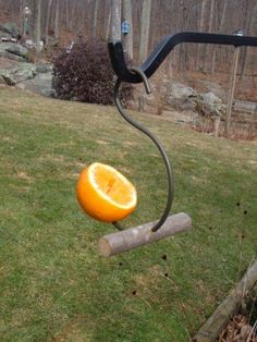 an orange is being pulled by a metal object in the grass with a long handle