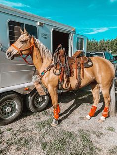 a brown horse standing next to a trailer with orange boots on it's feet