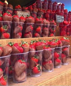 chocolate covered strawberries in plastic cups on display