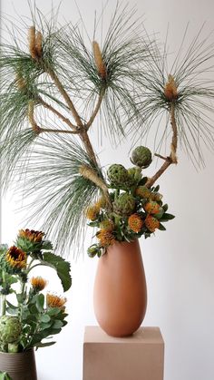 two vases with plants in them sitting on a table