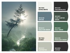 the color scheme for an exterior painting project